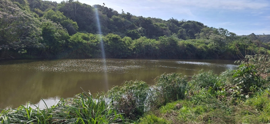 Commercial Property for Sale in Meisies Halt Eastern Cape